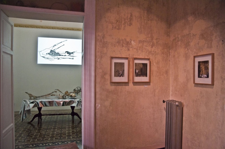 Suite 13 – Palermo